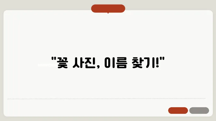 사진으로 꽃 이름 검색하기