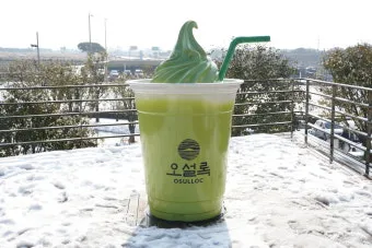 제주 오설록 티뮤지엄 관람 팁과 근처 카페 안내_9