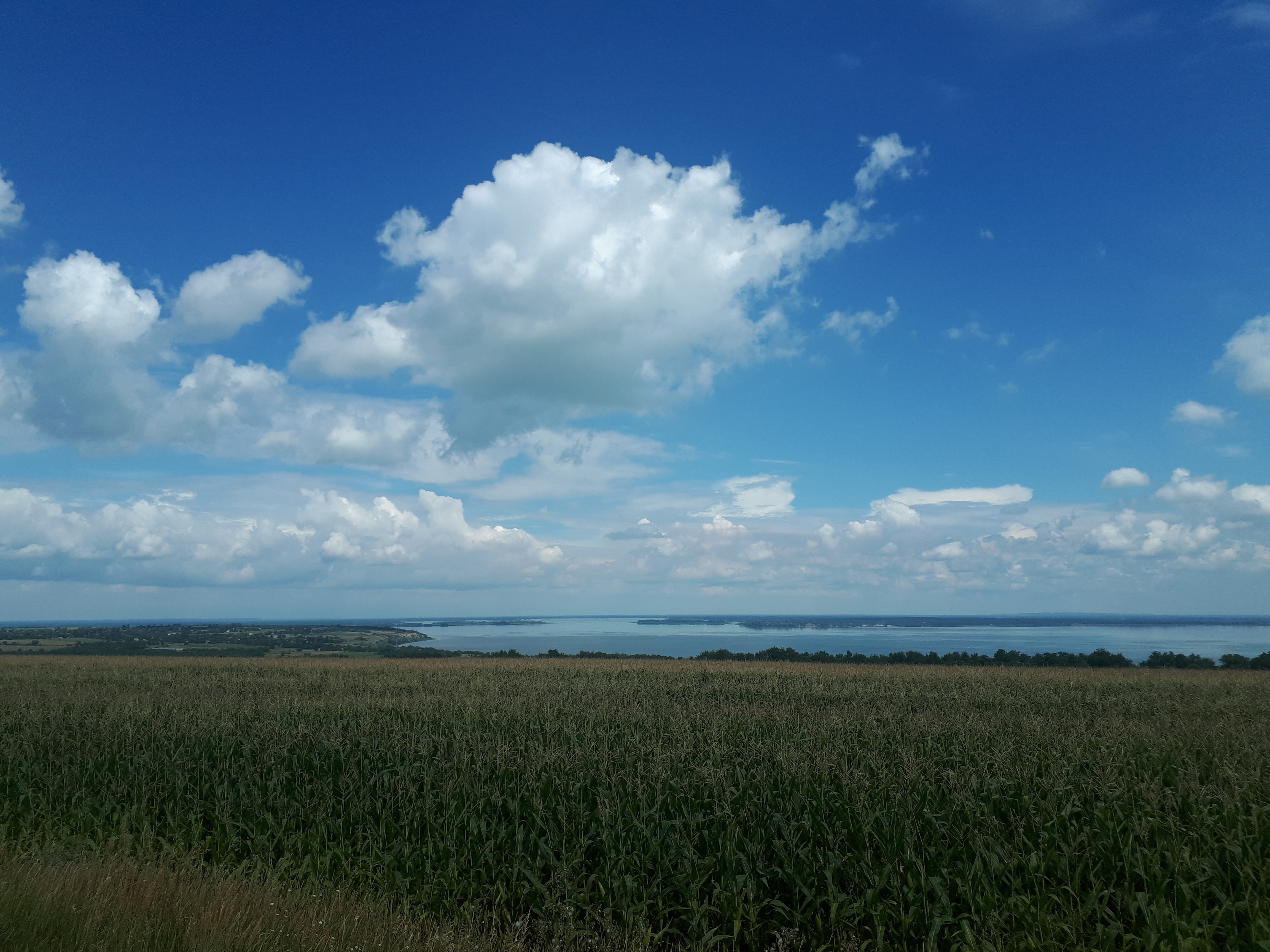 우크라이나 푸쉬카리우카 드니프로 강변과 야생화 들판