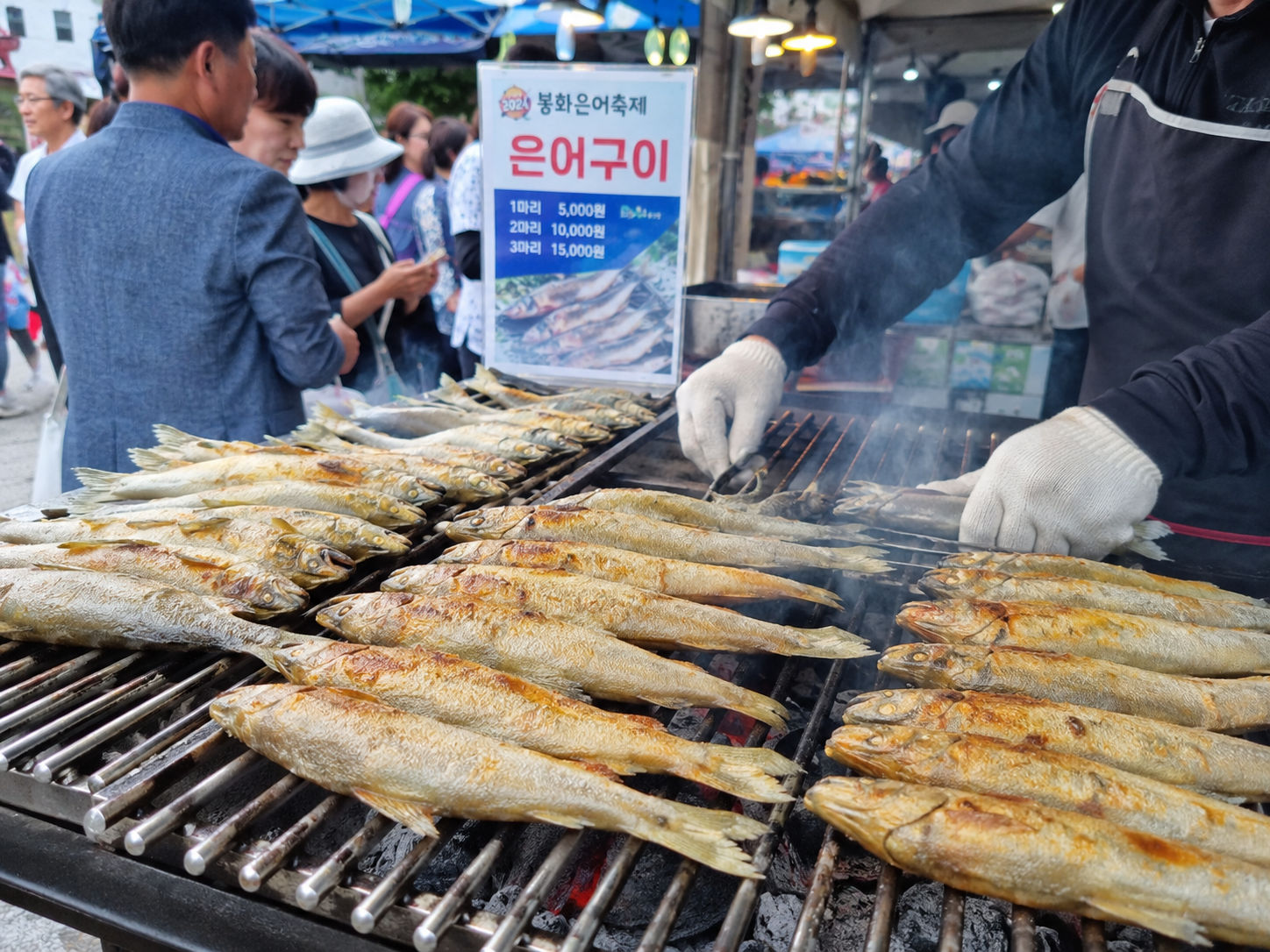 봉화은어축제 일정 초대가수 개막식 폐막식 2026 제28회 총정리