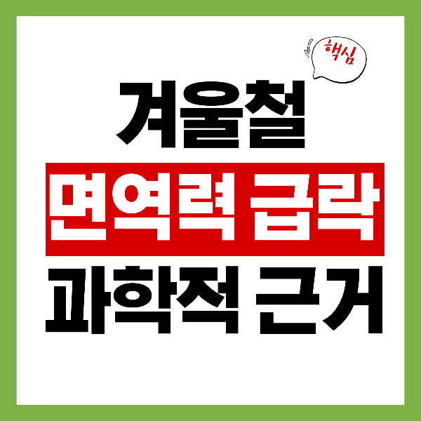 겨울철 면역력 급락 - 바이러스에 취약해지는 과학적 근거 공개