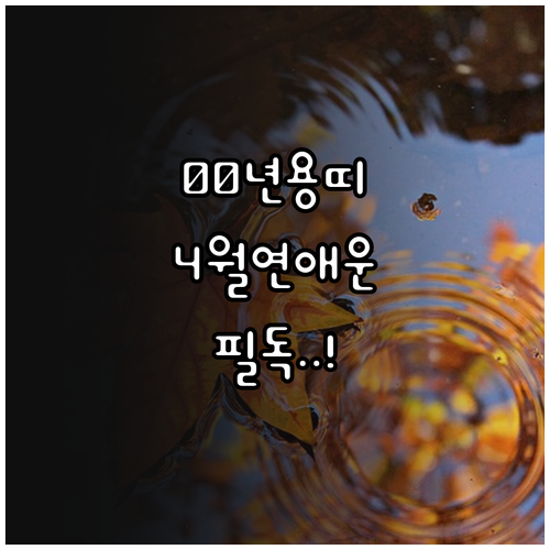2000년생 용띠 2026년 4월 연..