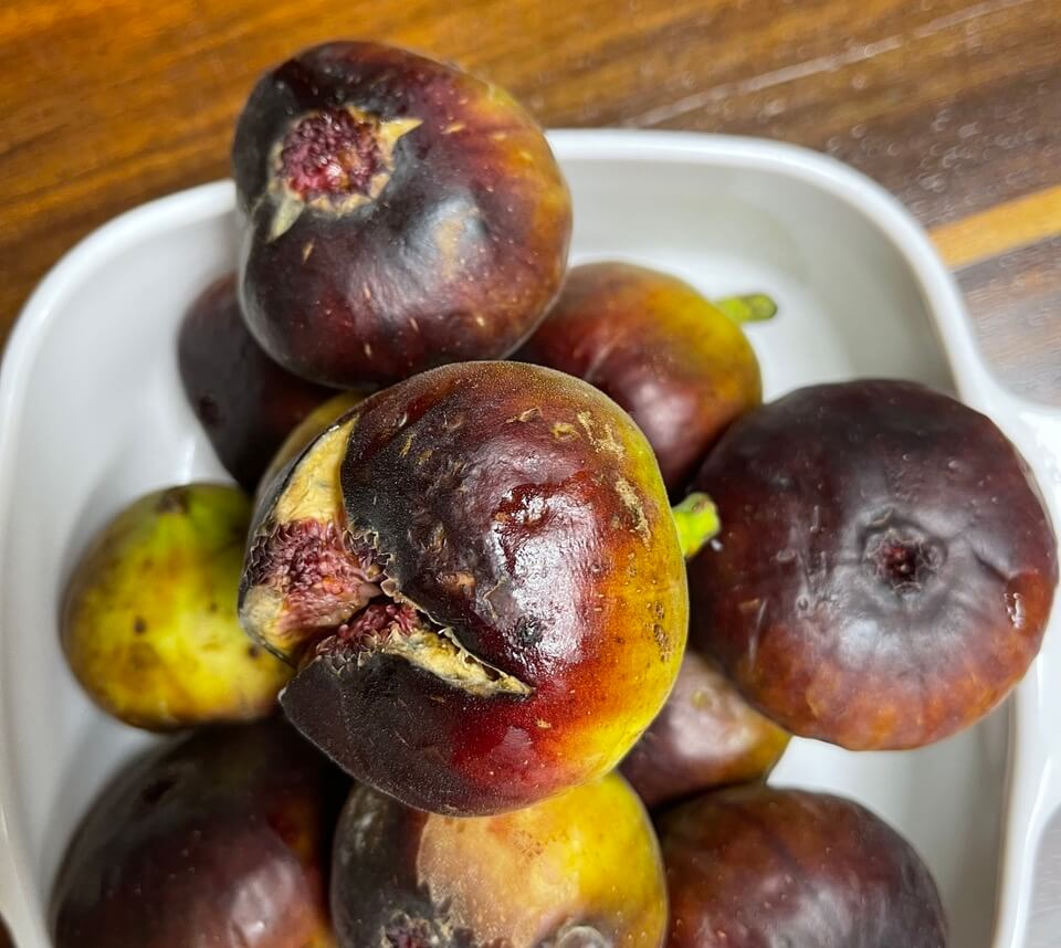 무화과 효능과 부작용