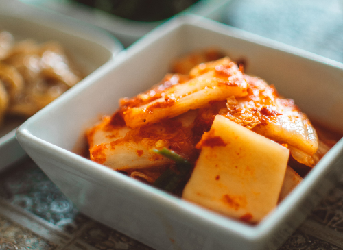 유산균, 발효식품