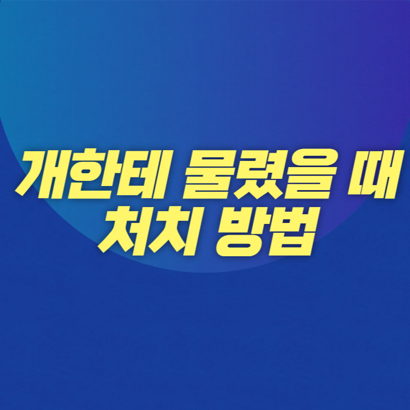 개한테 물렸을 때 처치 방법