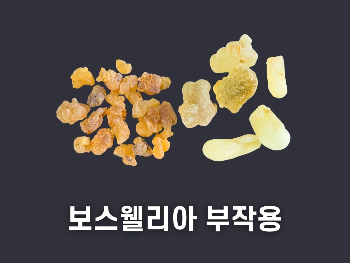 보스웰리아 부작용