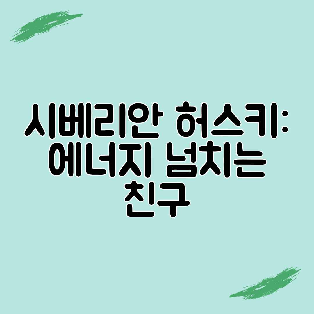 시베리안 허스키 에너지 넘치는 친구