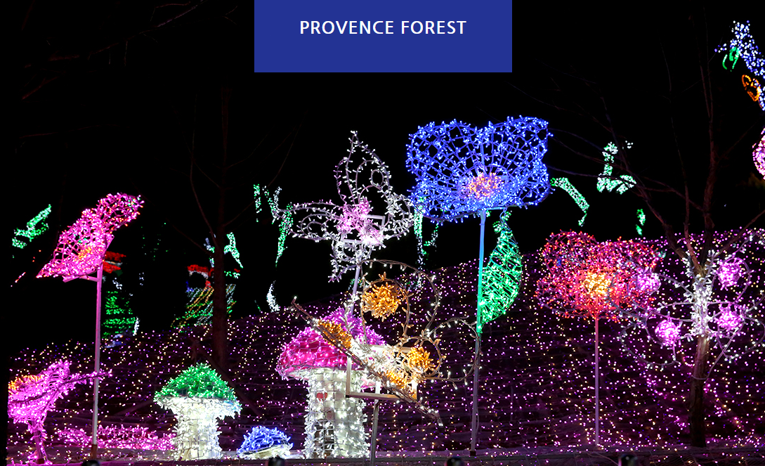 청도 프로방스 빛축제