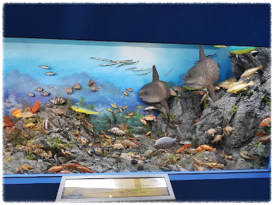 진도해양생태관