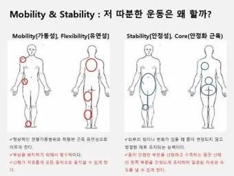 축구선수학부모연합회 숭실대학교 경남 천안_6