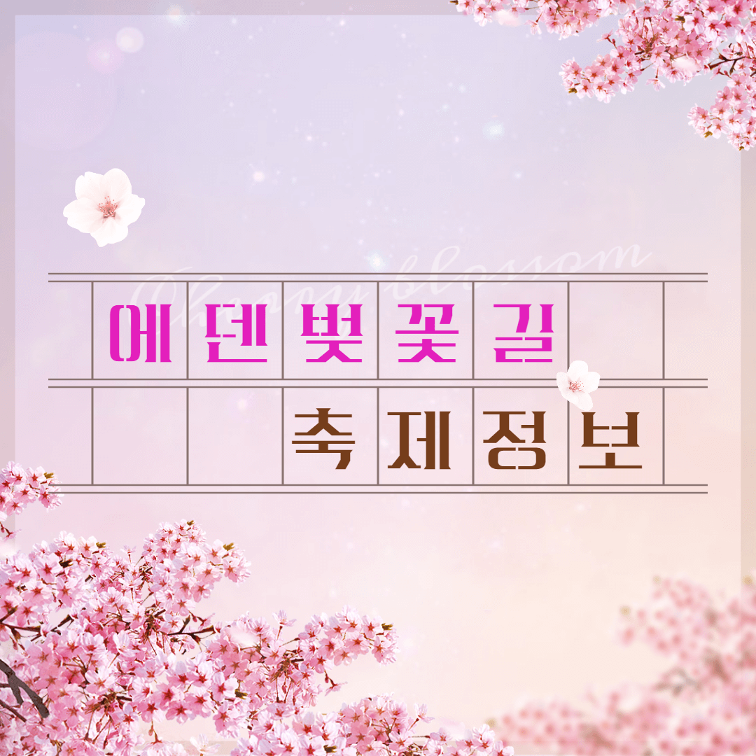 에덴벚꽃길 벚꽃 축제 실시간 개화 현황