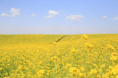 안성팜랜드 관람 정보