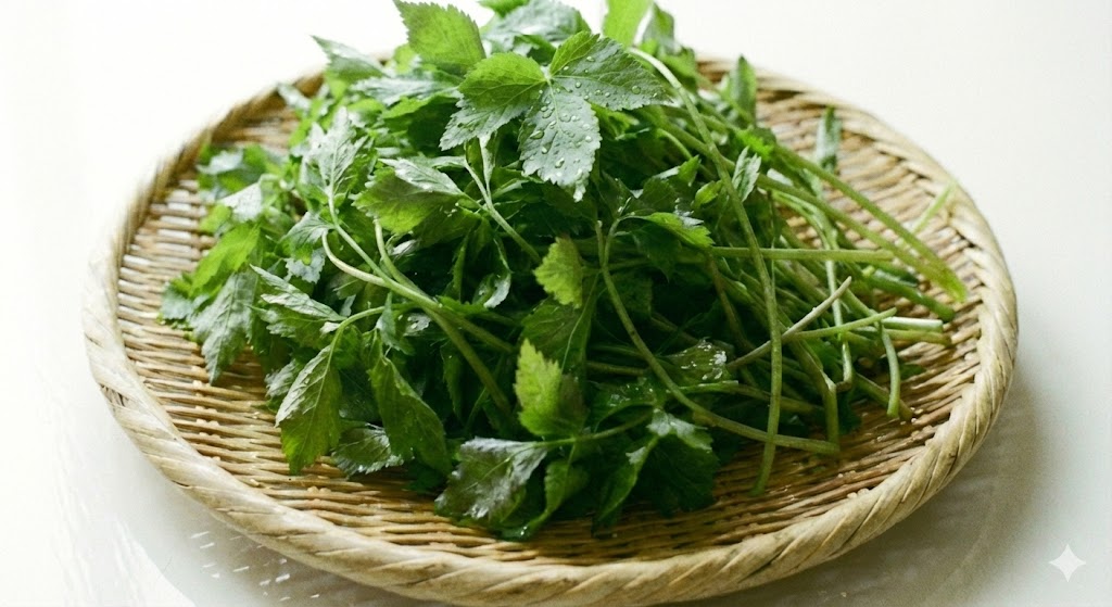 베타카로틴이 풍부해 시력 보호와 안구 건조증 예방에 도움을 주며, 치매 예방 효과가 있는 신선한 참나물