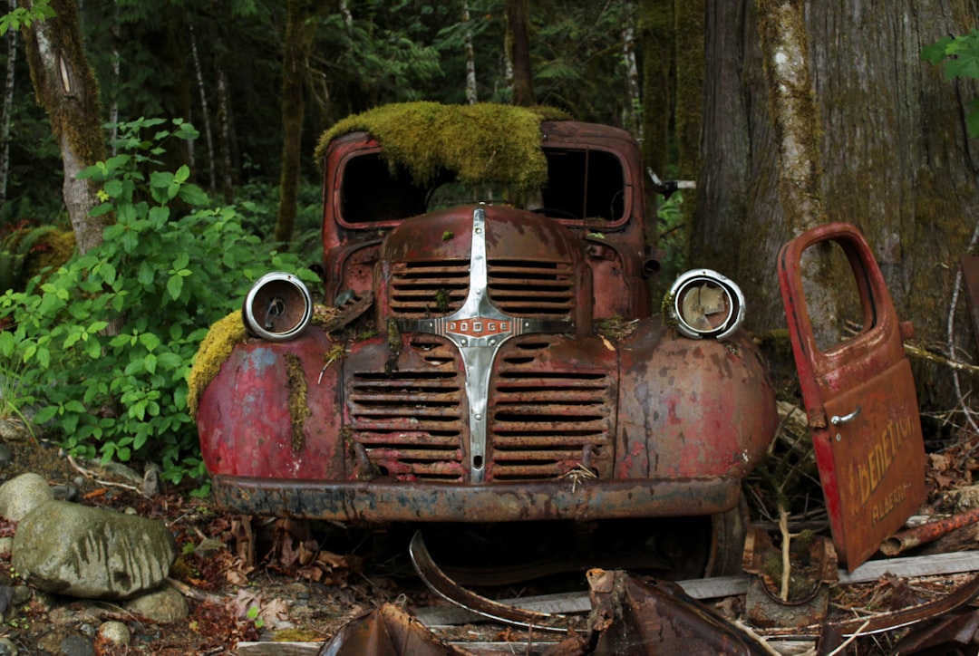Rust