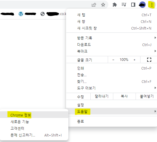 도움말 Chrome 정보