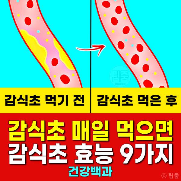감식초 매일 먹으면 감식초효능 감식초먹는법 보관법