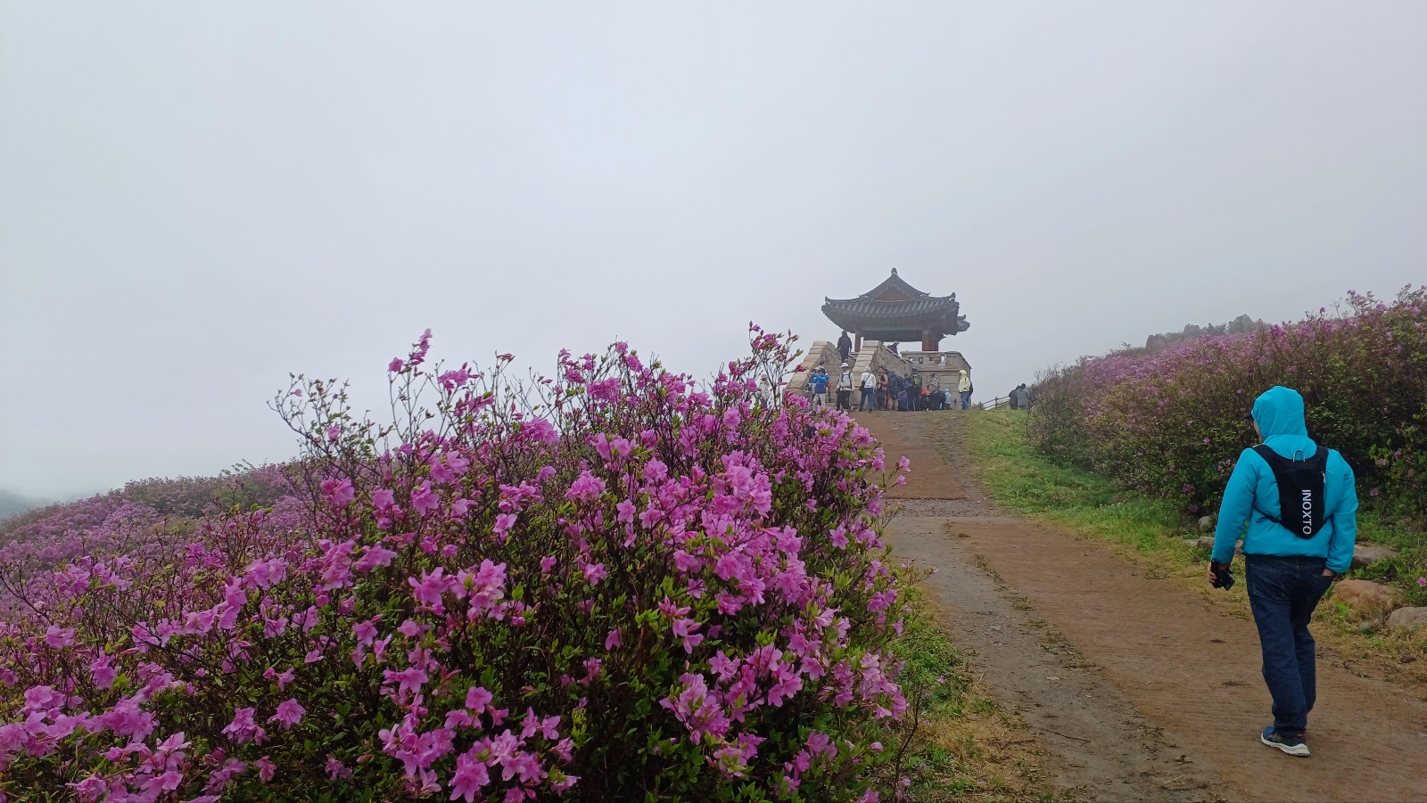 합천 황매산 철쭉36