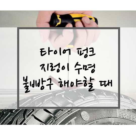 타이어-펑크-지렁이-수명-불빵구
