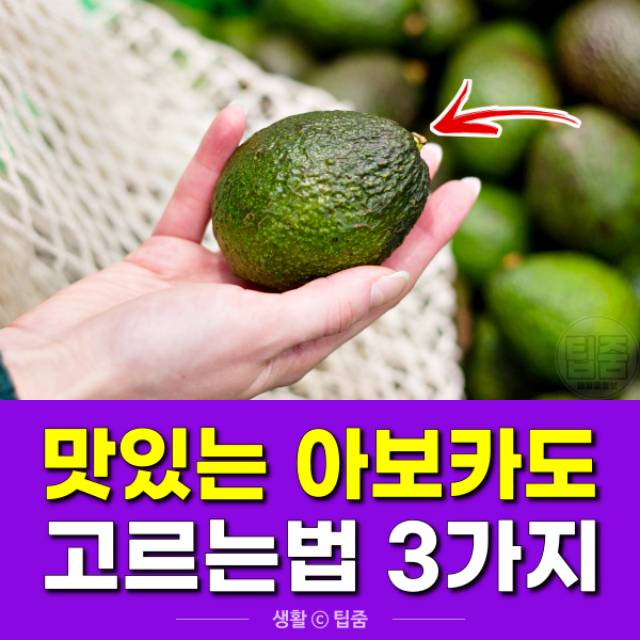 맛있는 아보카도 고르는법,좋은 아보카도 고르기 먹는 방법,팁줌