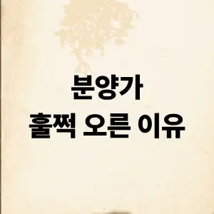 분양가 오른 이유