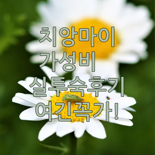 치앙마이 가성비 숙소 추천 5곳 위치..