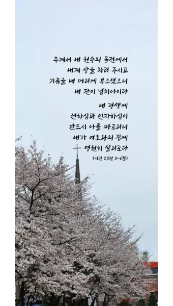 시편 62장 1절 읽기 - 나의 영혼이 잠잠히 하나님만 바람이여 나의 구원이 그에게서 나오는도다_19