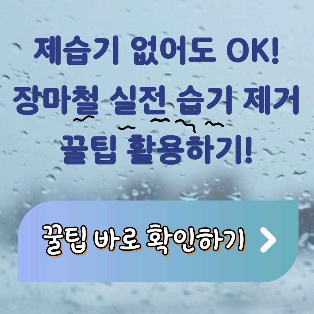 장마철 습기 제거 꿀팁