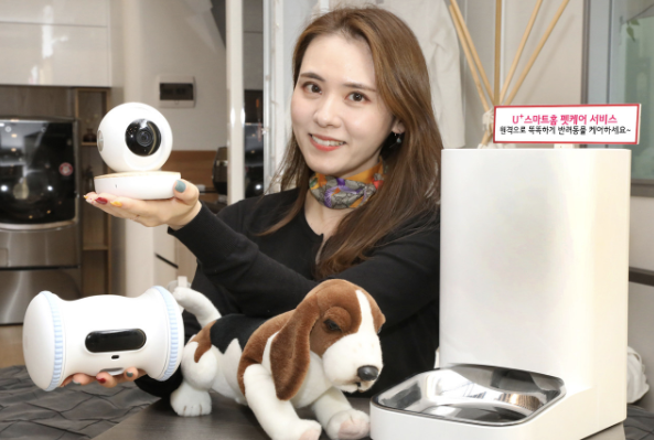 이젠 강아지도 스마트하게 케어하는 시대! 반려견 스마트 제품 TOP 5 추천