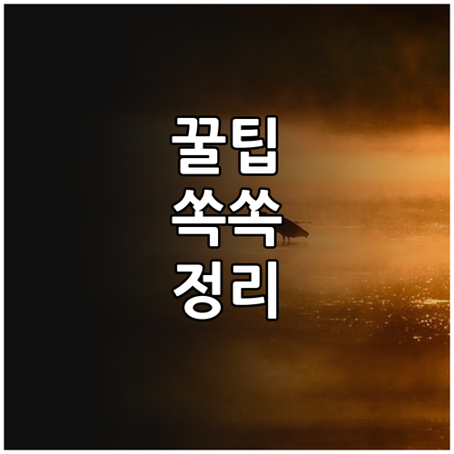 경기도 2025 강제동원 피해여성 지..