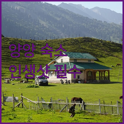 강원도 양양 숙소 추천 신축 호텔부터..