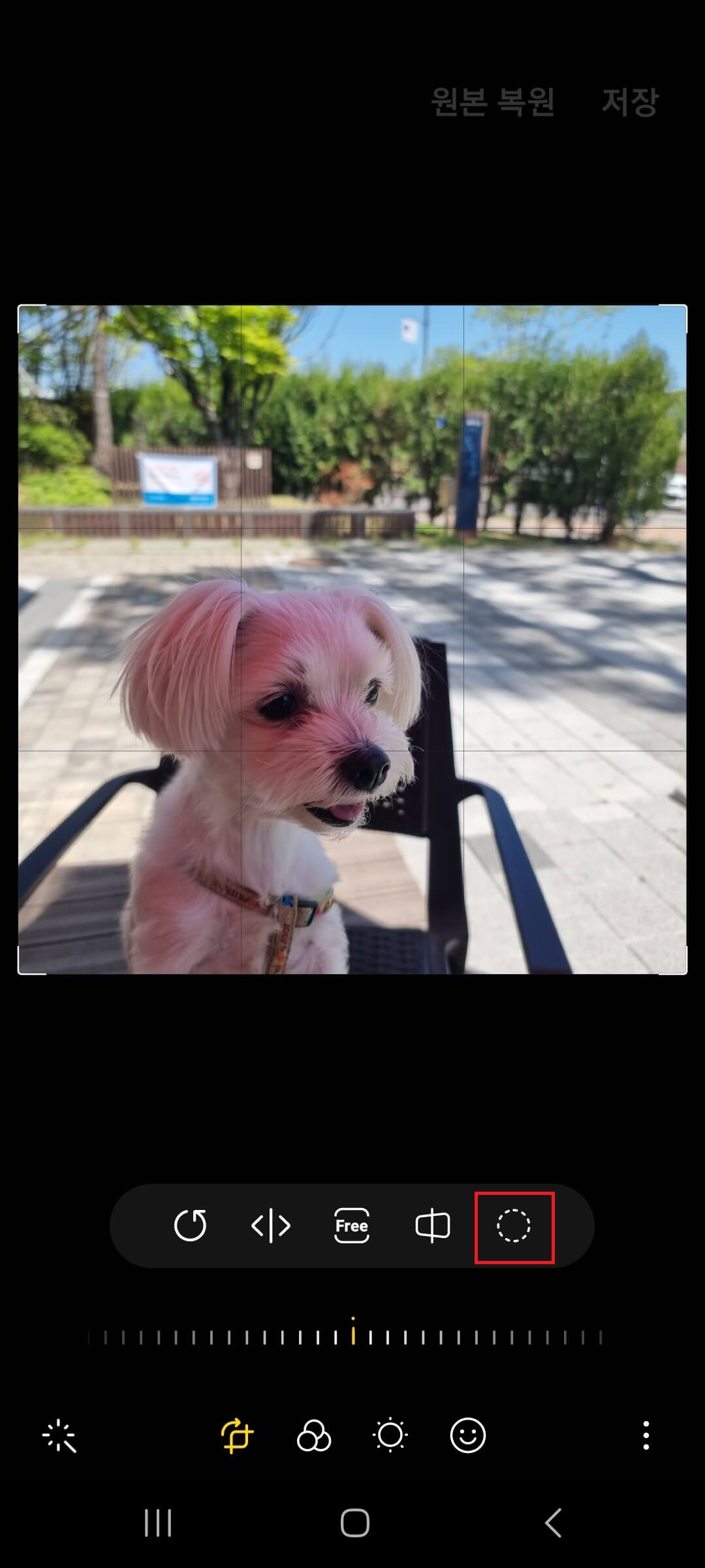 누끼따기