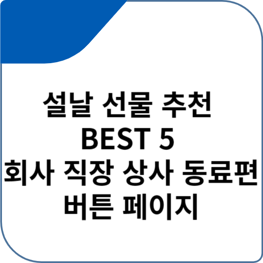 설날 선물 추천 BEST 5 회사 직장 상사 동료편 버튼 페이지