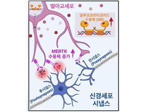 키토산