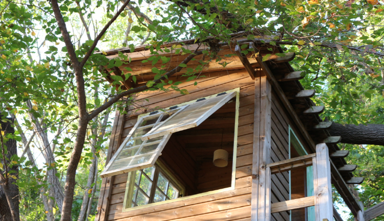 파주 율곡수목원