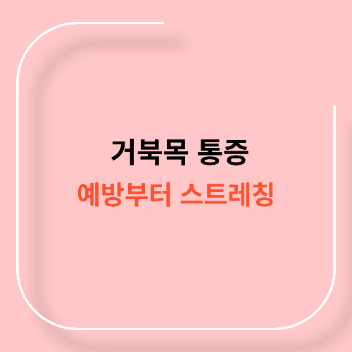 거북목 통증 예방 치료11