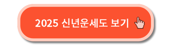 2025 토정비결 09