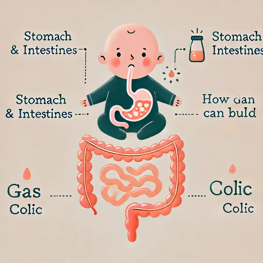 아기 배앓이 배앓이 증상 아기 울음 원인 배앓이 해결법 아기 배앓이 원인 배앓이와 소화 불량 차이 아기 배앓이 마사지 배앓이 완화 방법 배앓이 다른 증상 차이 아기 배앓이 대처법