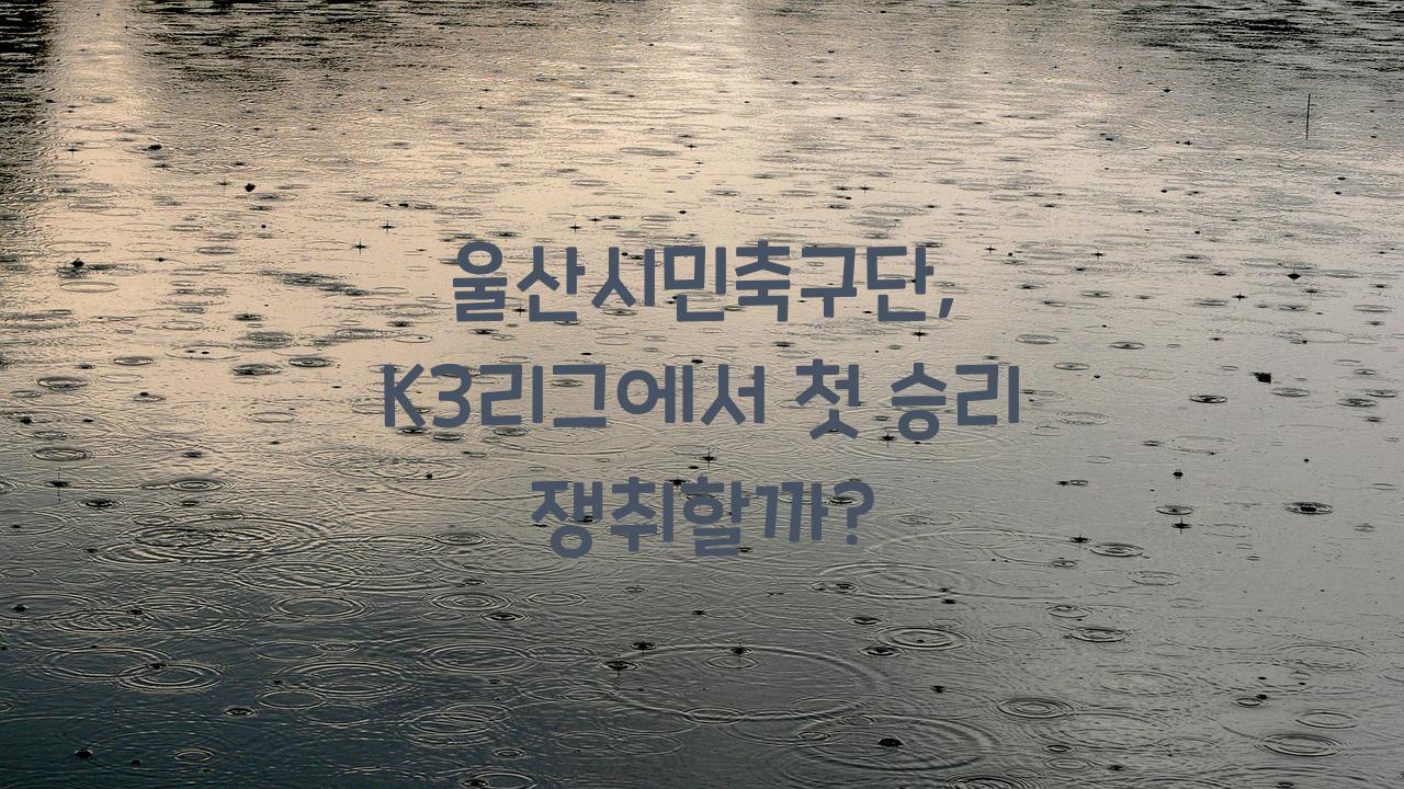 울산시민축구단