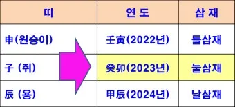 2025년 삼제띠 들삼재 눌삼재 날삼재에 대한 정보_4