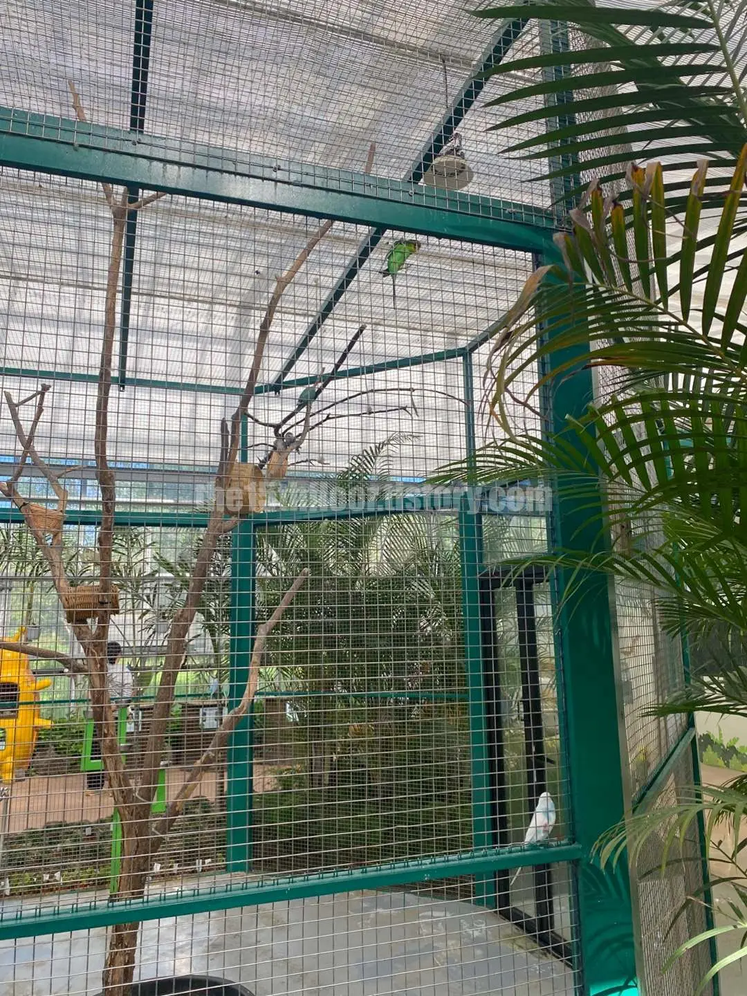 경남 의령 &amp;#39;의령 곤충생태학습관&amp;#39; (1층 &amp;#39;사막관&amp;#39;&amp;#44; &amp;#39;열대관&amp;#39;)