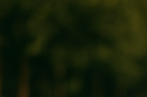 피로골절 총정리