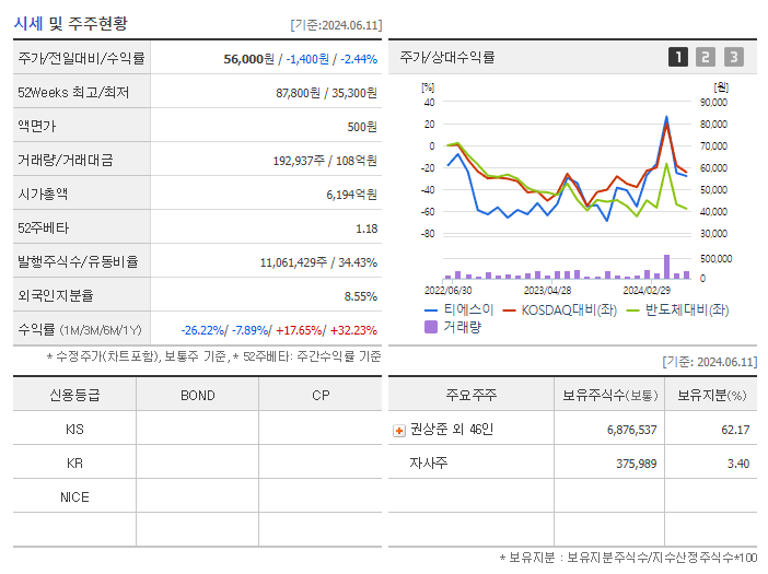 티에스이_기업개요