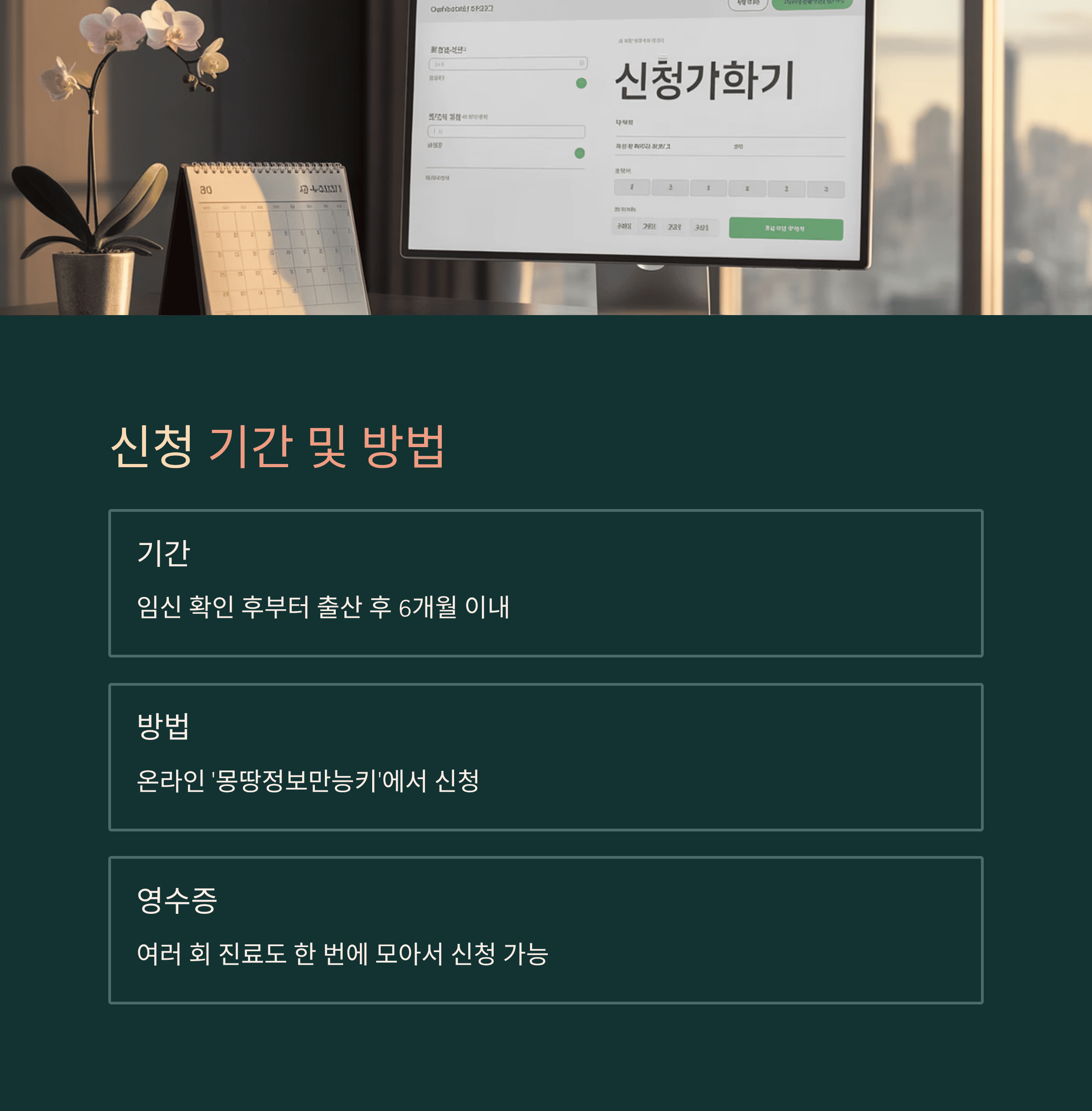 서울시 35세 이상 임산부 의료비 최대 50만원 지원 사업 신청 기간 및 방법
