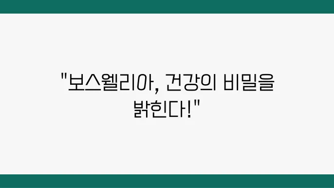 보스웰리아의 효능과 효과 섭취 방법 났용은
