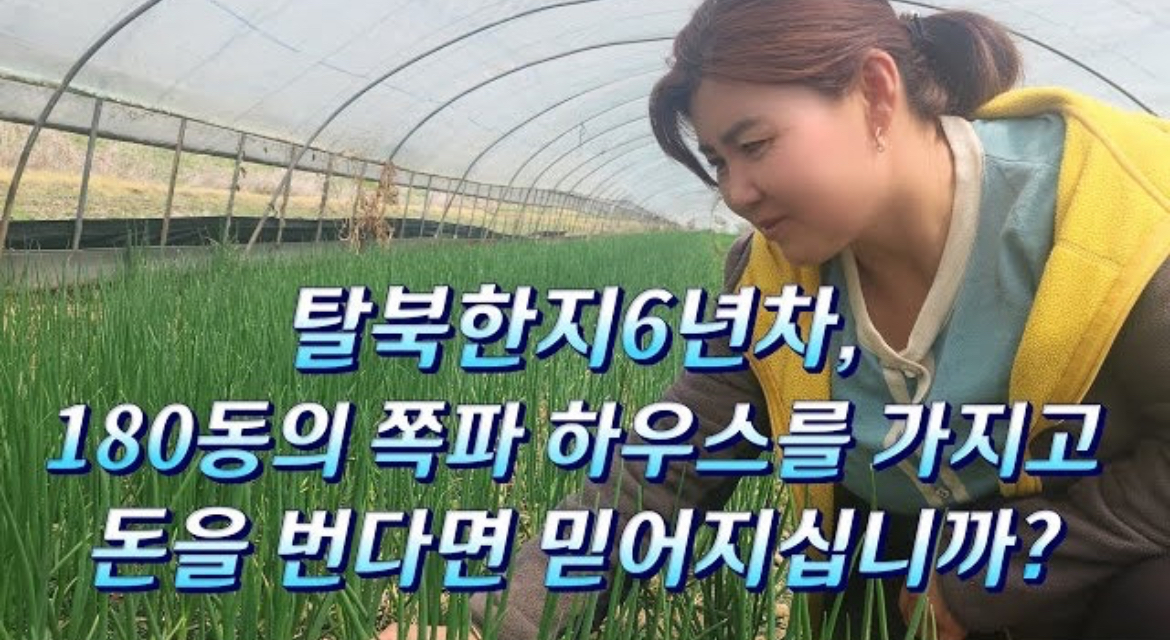 쪽파 여왕 김나현