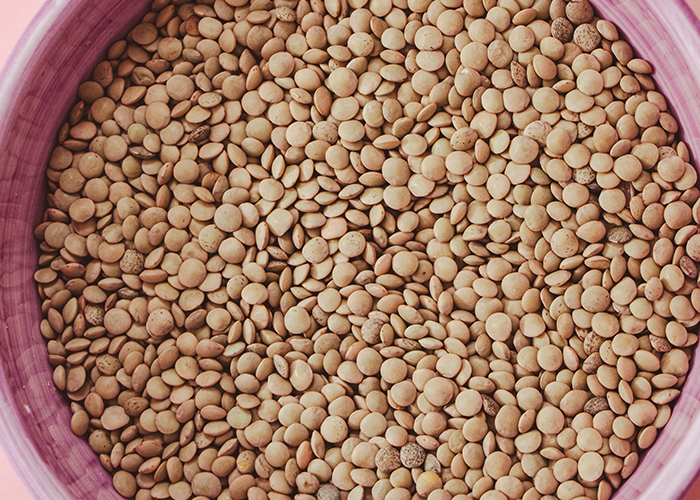 그릇에 담겨있는 갈색 렌틸콩