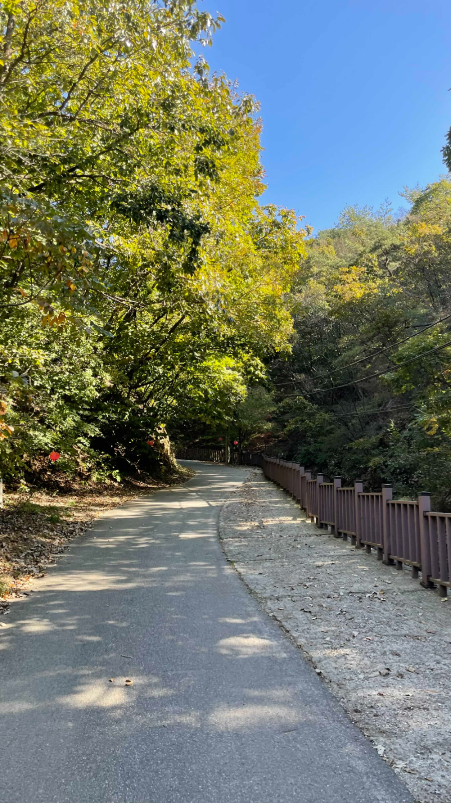 파주 감악산 출렁다리