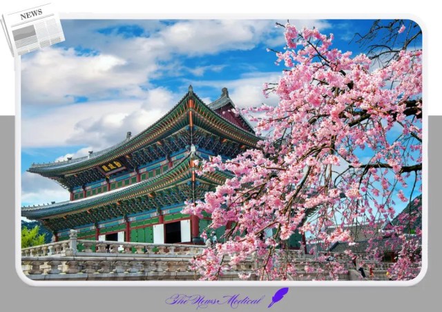 일본의 국화: 사쿠라