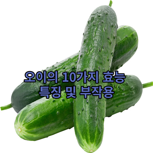 오이의 10가지 효능&#44; 특징 및 부작용