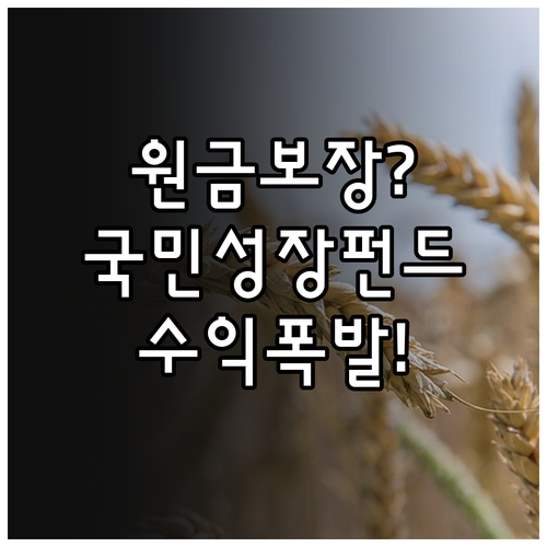 국민성장펀드 장기 투자 수익 구조와 ..